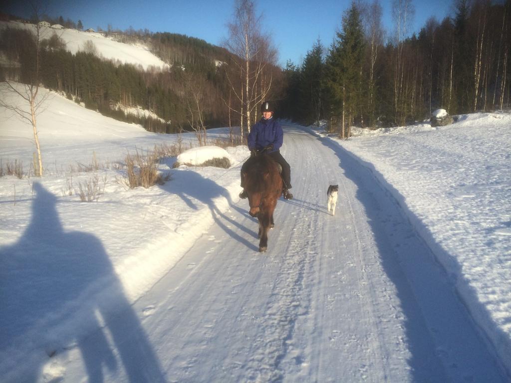 Asgardane Gjestegard Gol Exterior foto